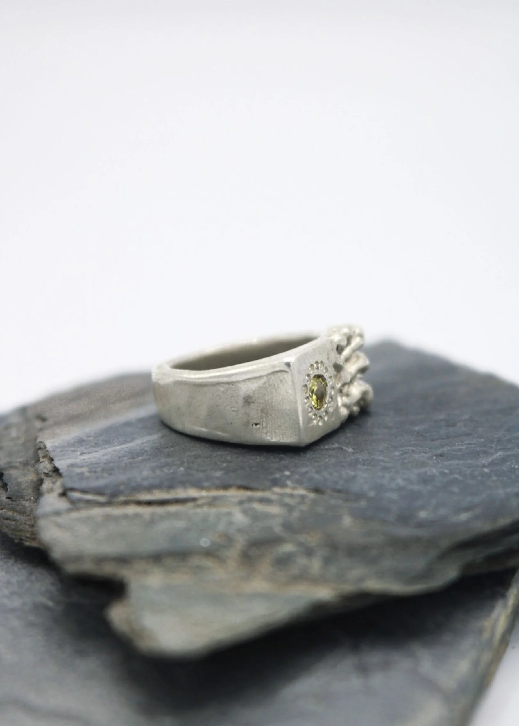Mothmade Jewels Lichen Signet Ring