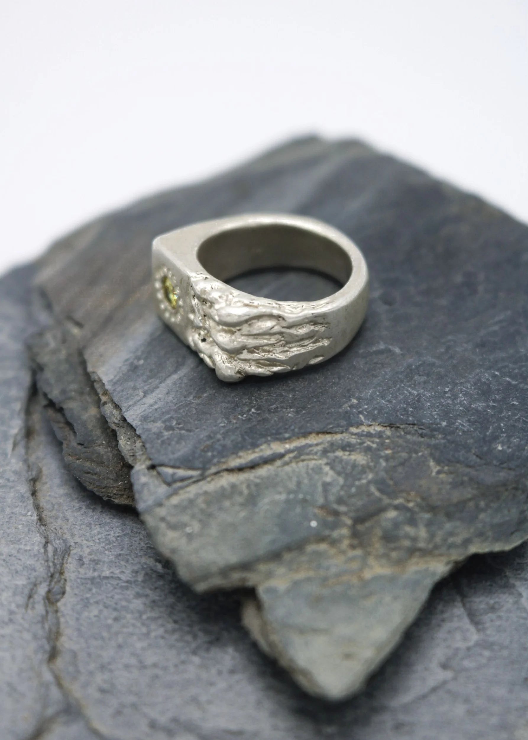 Mothmade Jewels Lichen Signet Ring