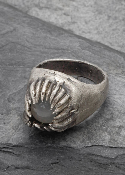 Ring #5 "Caught"