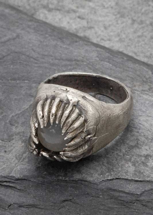 Ring #5 "Caught"