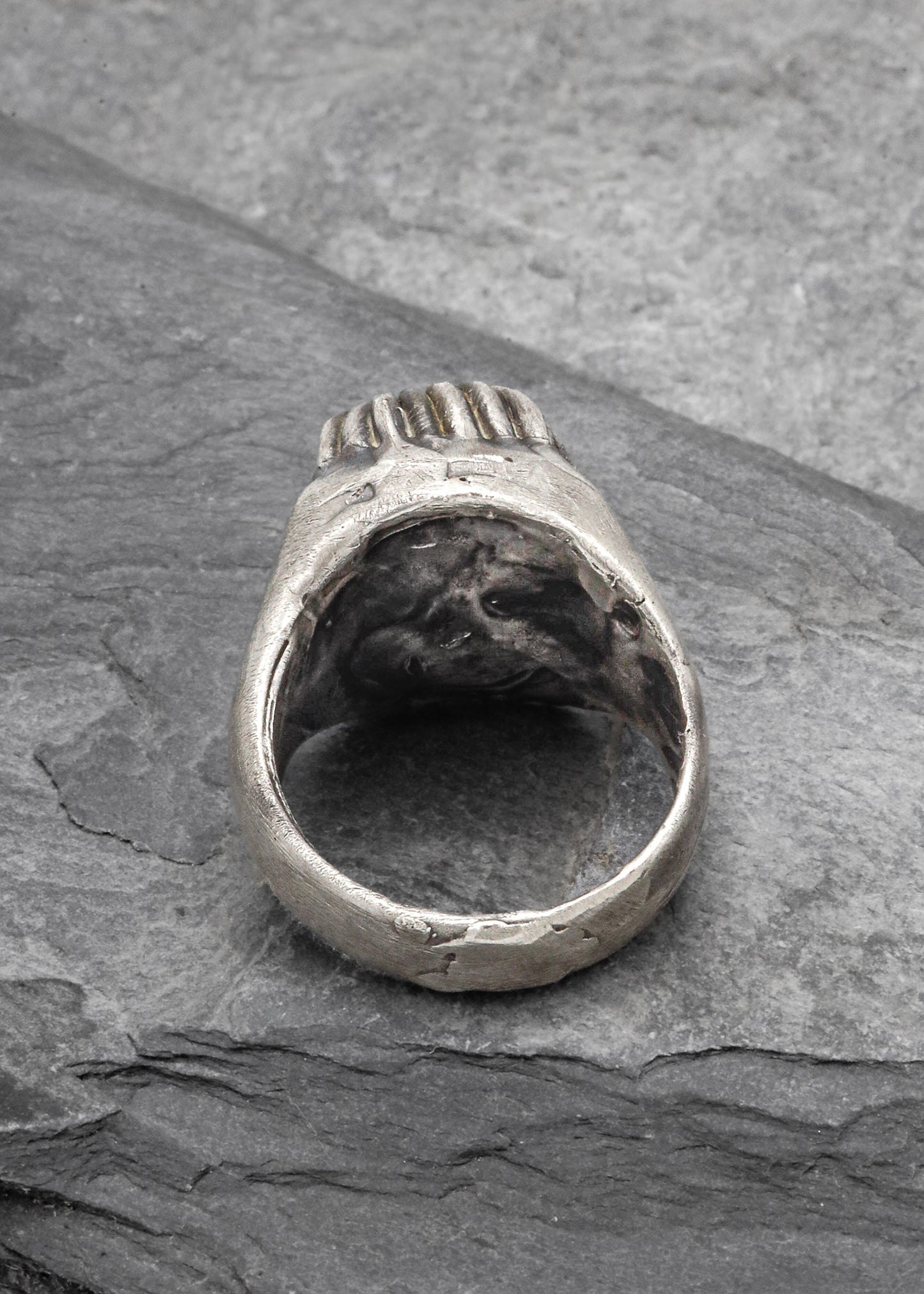 Ring #5 "Caught"
