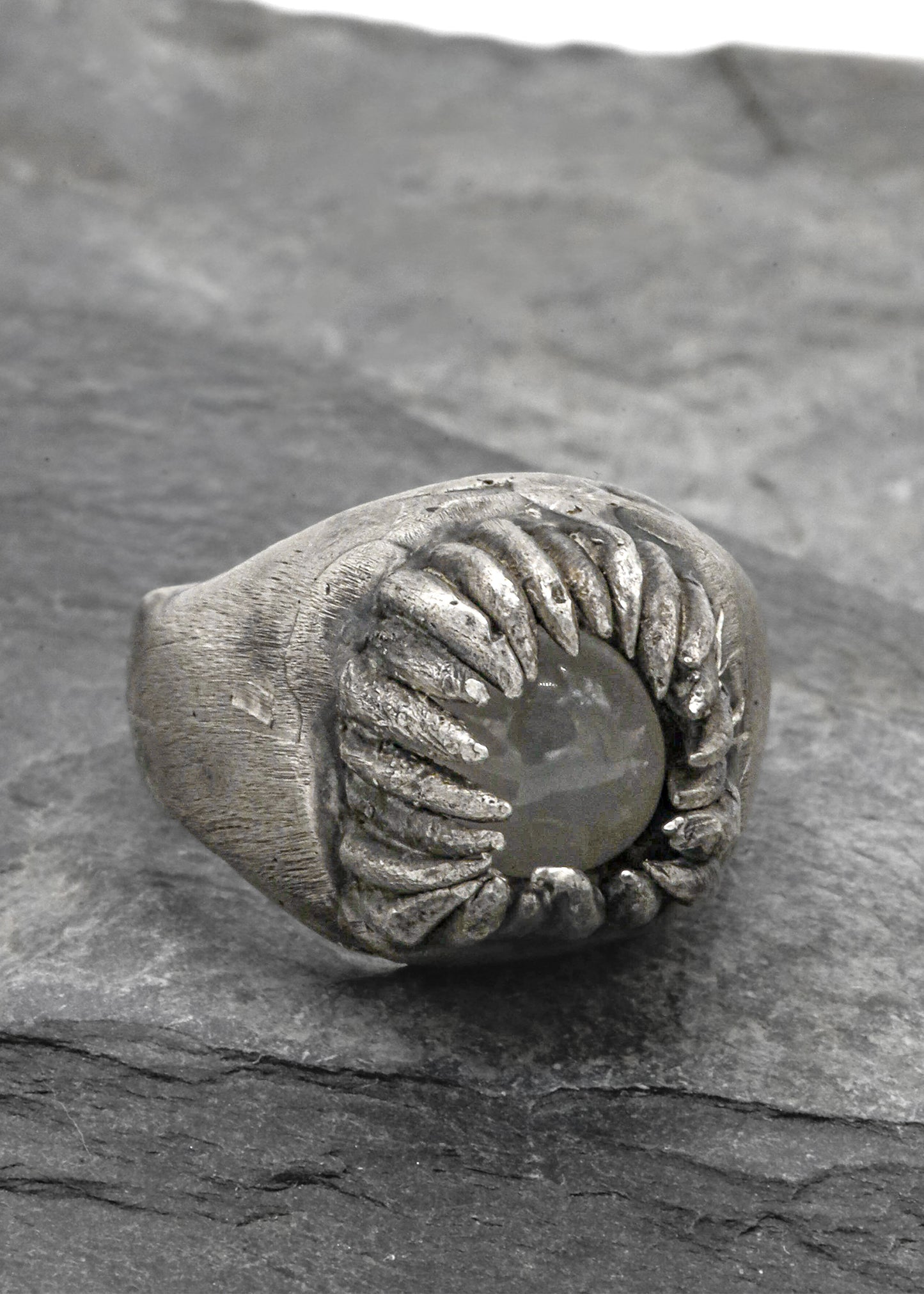 Ring #5 "Caught"