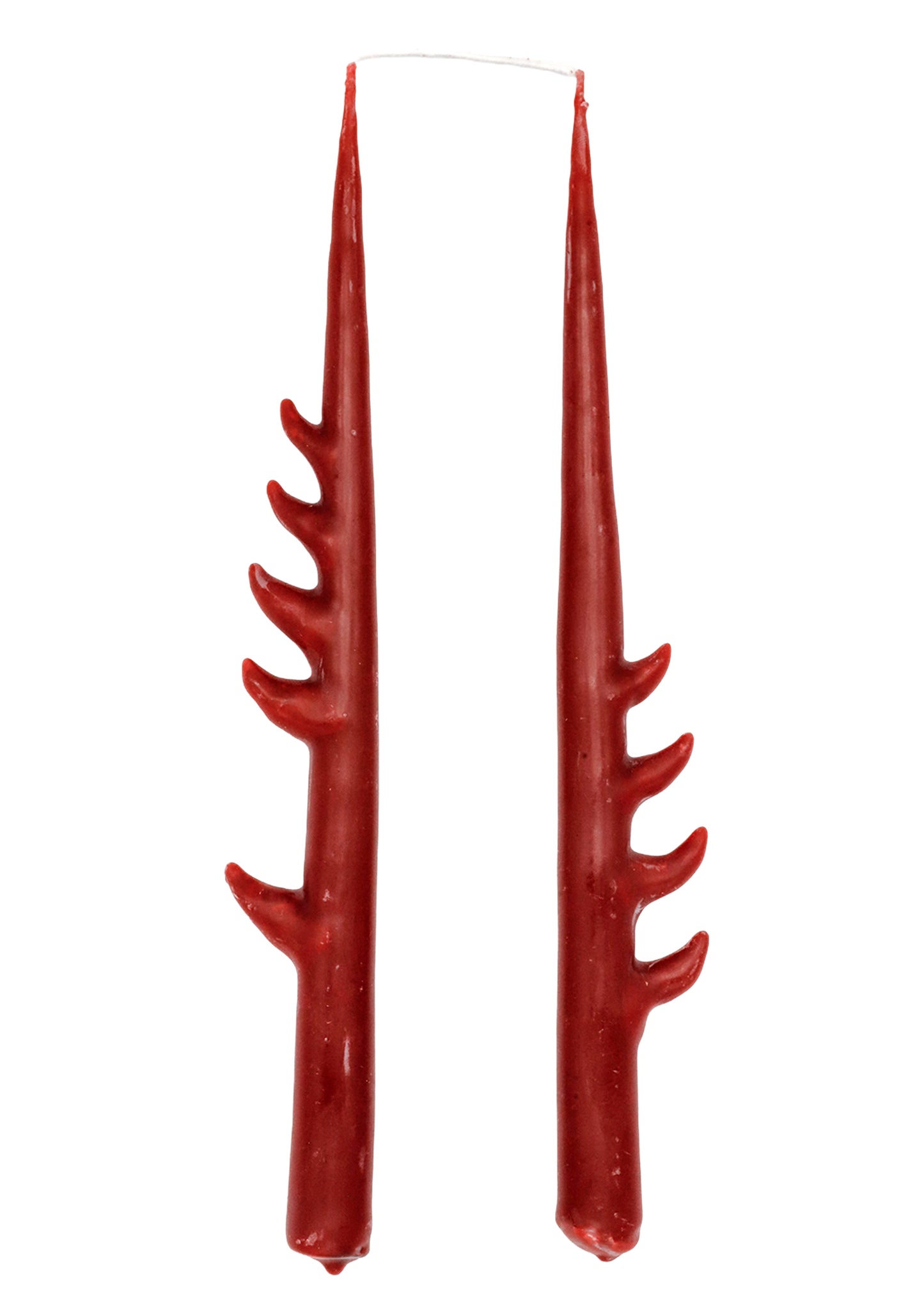 Sculpted thorn beeswax candles