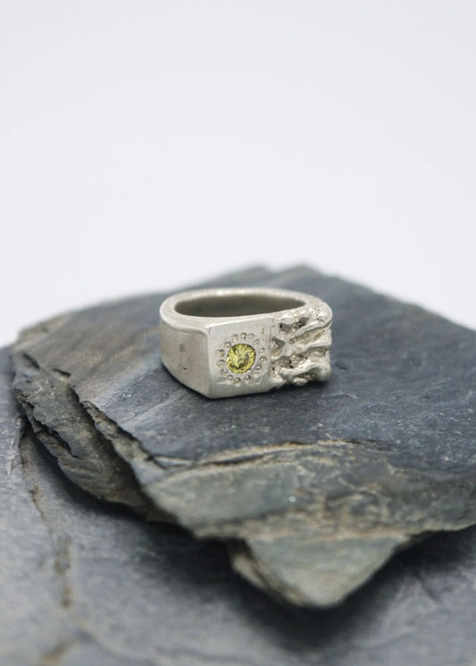 Mothmade Jewels Lichen Signet Ring