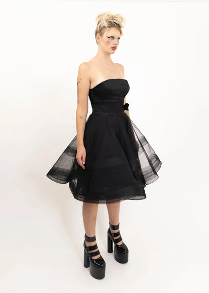 Alex Perry Tulle skirt and silk bustier set