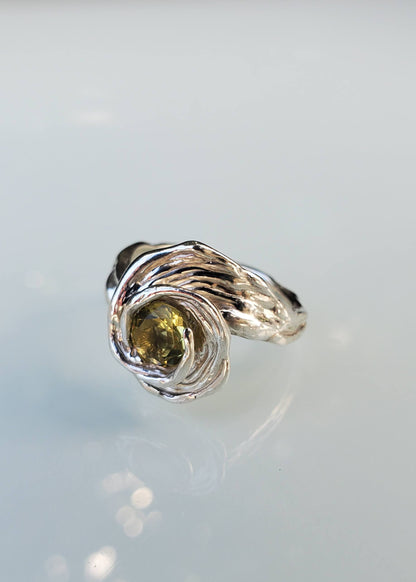 Whirlpool Ring